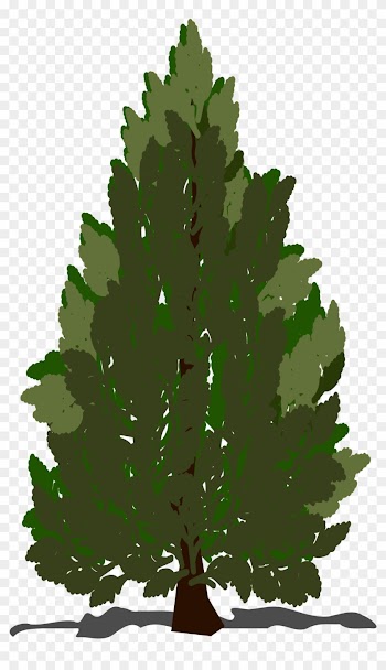 Pine Tree Clipart Swamp Tree - Clip Art Pine Tree