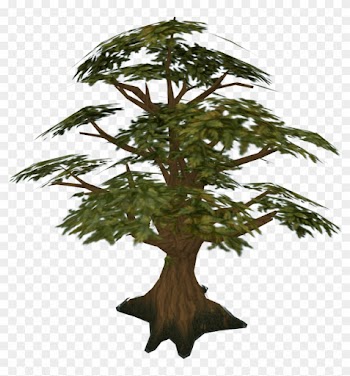Pine Tree Clipart Swamp Tree - Runescape Oak Tree