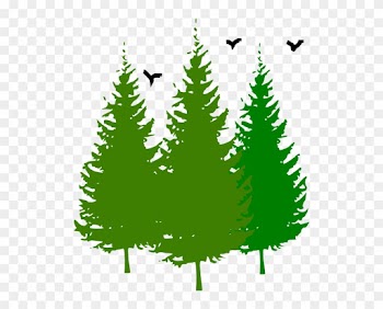 Pine Tree Clipart Tress - Pine Tree Clipart Free