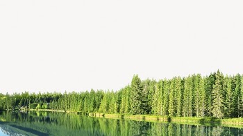 Pine tree cottage collage element, | Free PSD - rawpixel