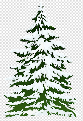 Pine tree covered with snow animated illustration, Pine Snow Tree ...