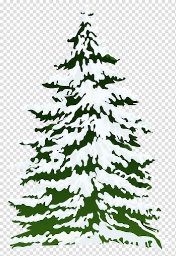 Pine tree covered with snow animated illustration, Pine Snow Tree , Winter Snowy Pine Tree transparent background PNG clipart