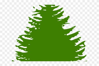Pine Tree Graphic - Pine Tree Silhouette