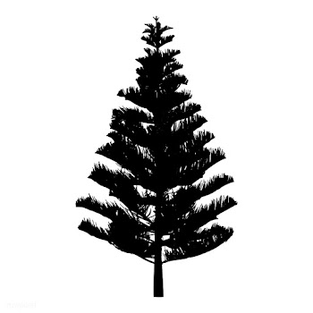 Pine tree silhouette on white background | Free stock vector - 488643
