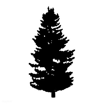 Pine tree silhouette on white background | Free stock vector - 488655