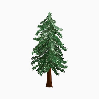 Pine tree sticker, collage element | Free Photo Illustration - rawpixel