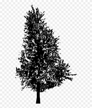 Pine Tree Vector - Pine Trees Sillhouette Png