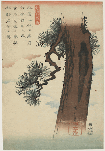 Pine TreeOriginal from the Minneapolis | Free Photo - rawpixel