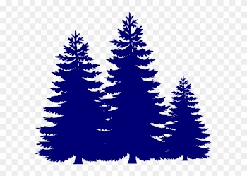 Pine Trees Clip Art - Evergreen Tree Clipart Black And White