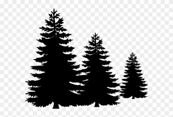 Pine Trees Clip Art - Pine Trees Clipart Black And White