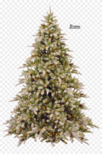 Pine Trees Clipart - Christmas Tree Png