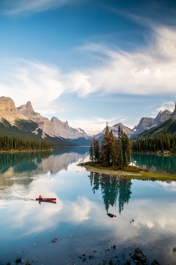 Pine Trees on Lake