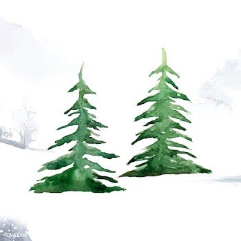 Pine trees painted by watercolor vector | Free stock vector - 489230