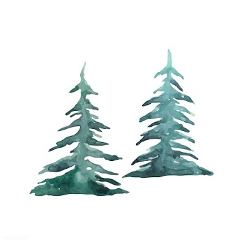 Pine trees painted by watercolor vector | Free stock vector - 489325