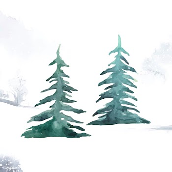 Pine trees painted by watercolor vector | Free stock vector - 489378