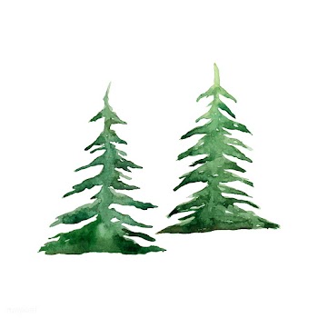 Pine trees painted by watercolor vector | Free stock vector - 489393
