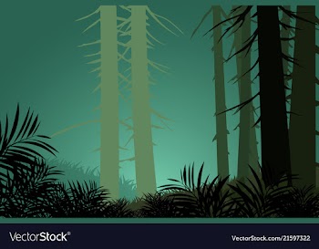 Pine trees scene vector image