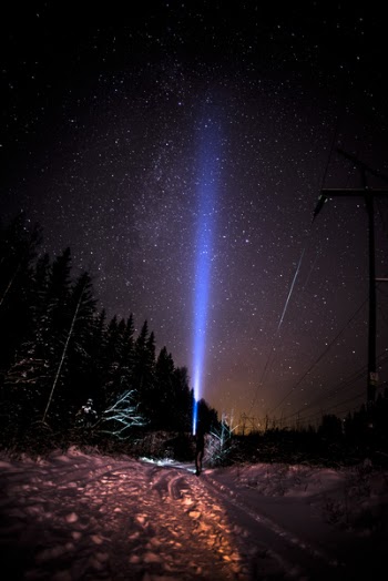 Pine Trees With Stars Above the Sky