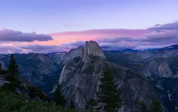 pine tress and mountain behind