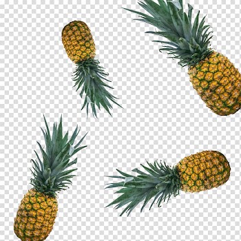 Pineapple Bromeliads Food Fruit, pineapple watercolor transparent background PNG clipart