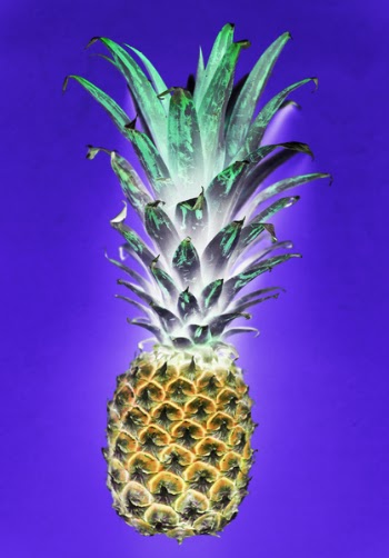 Pineapple Clip Art