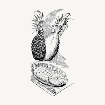 Pineapple clipart, vintage fruit illustration | Free Vector - rawpixel