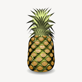 Pineapple collage element illustration vector. | Free Vector - rawpixel