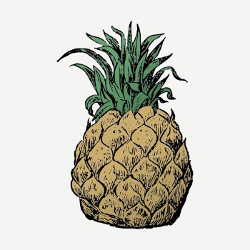 Pineapple collage element, vintage fruit | Free PSD - rawpixel