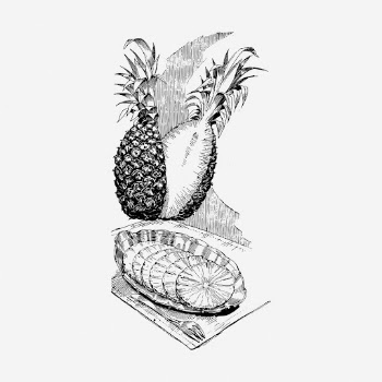 Pineapple drawing, vintage fruit illustration. | Free Photo - rawpixel
