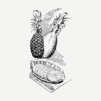 Pineapple drawing, vintage fruit illustration | Free PSD - rawpixel