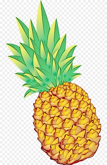 Pineapple, Drawing, Watercolor Painting, Ananas PNG