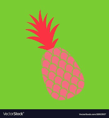 Pineapple exotic tropical fruit sketch pop art vector image