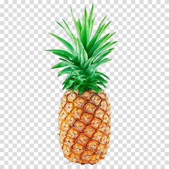 Pineapple Flamingos Tropical fruit, flamingos transparent background PNG clipart