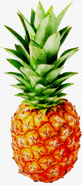 Pineapple Food Gift Gratis Art -  