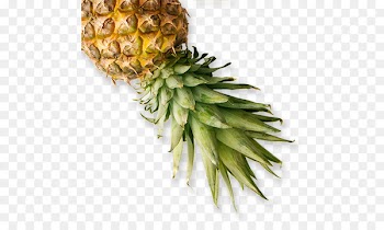 Pineapple Food Recipe Eating Veganism - pineapple 
