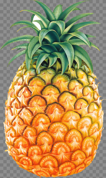 Pineapple Free PNG Image