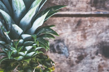 Pineapple Fruit
