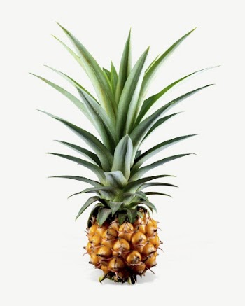 Pineapple fruit  collage element | Free PSD - rawpixel