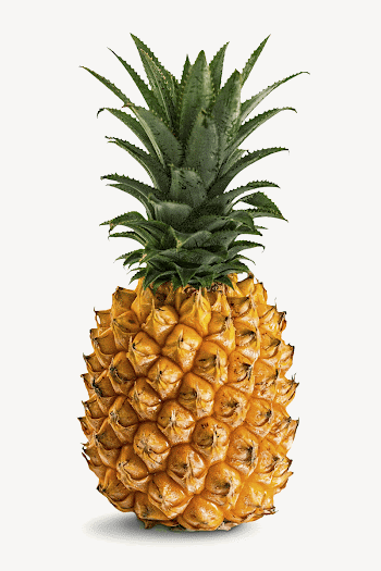 Pineapple fruit collage element, isolated | Free Photo - rawpixel
