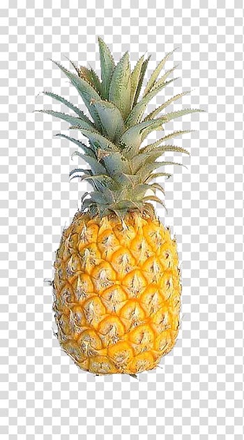 Pineapple fruit, Pineapple Cuisine of Hawaii Fruit Flavor Food, Golden pineapple transparent background PNG clipart