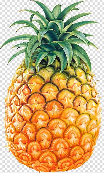 Pineapple fruit, Pineapple Fruit , Pineapple , free transparent background PNG clipart