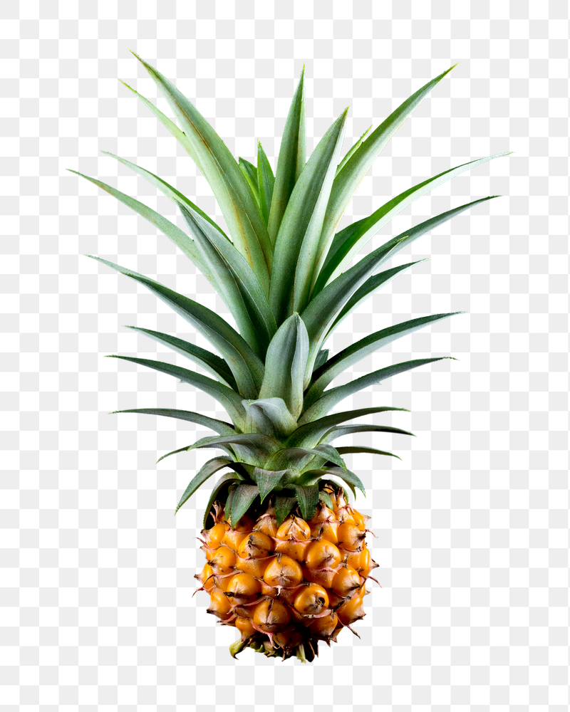 Pineapple fruit  png sticker, | Free PNG - rawpixel