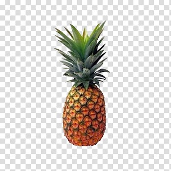 , pineapple fruit transparent background PNG clipart