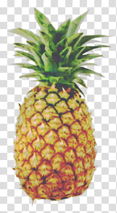 , pineapple fruit transparent background PNG clipart