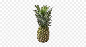 Pineapple Green Png - First The Spiritual Then The Natural Fruit