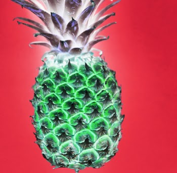 Pineapple Illustration