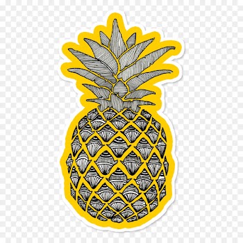 Pineapple Illustration Drawing Art Fruit - pineapple 