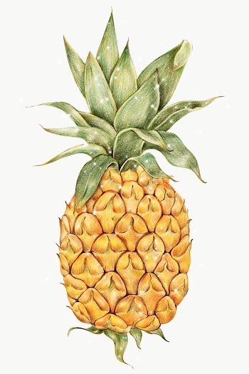 Pineapple illustration pencil colored style sticker design element | Free  transparent png - 2338026