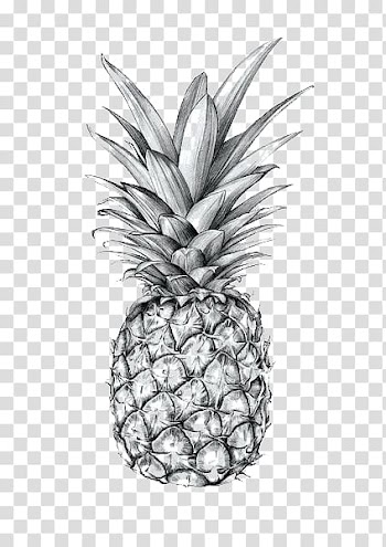 Pineapple illustration, Pineapple Drawing Art Printmaking Sketch, pineapple transparent background PNG clipart
