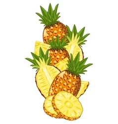 Pineapple isolated composition Royalty Free Vector Image